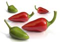 Chilli jako afrodiziakum