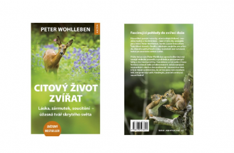 Citový život zvířat