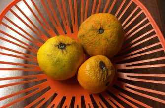 Mandarinky