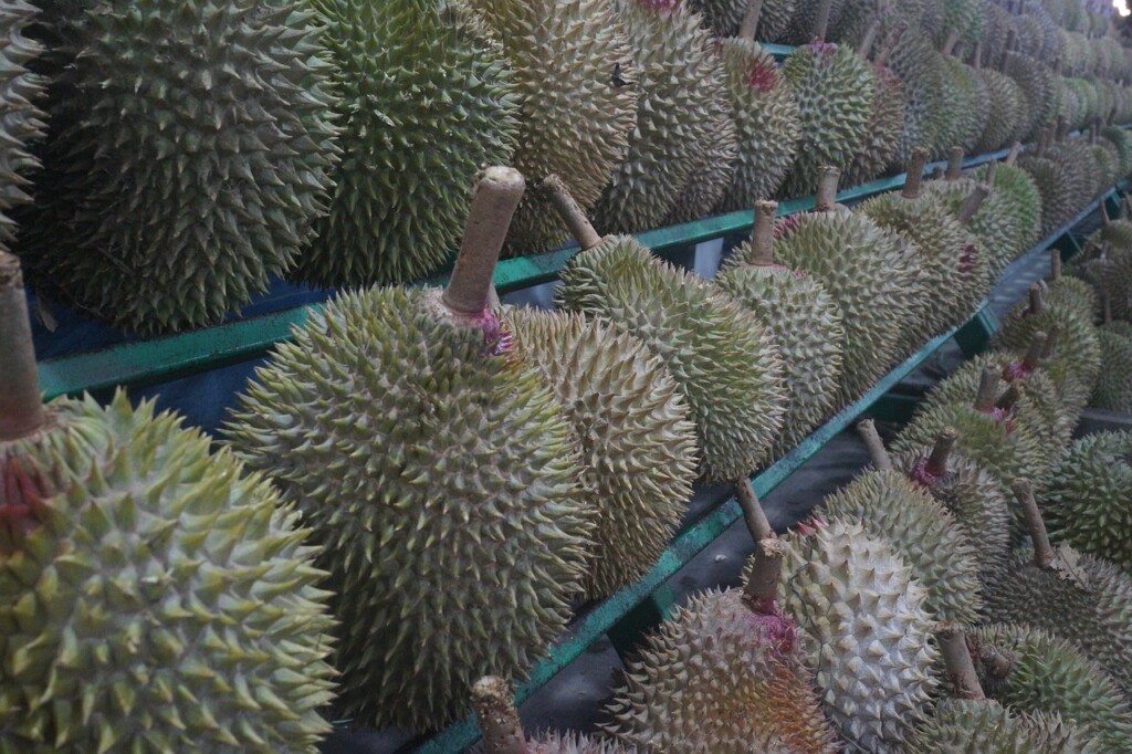 Durian