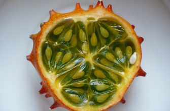 Kiwano