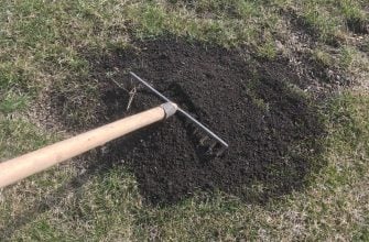 trávník, podzimní hnojení, fosfor P, draslík K, příprava na zimu