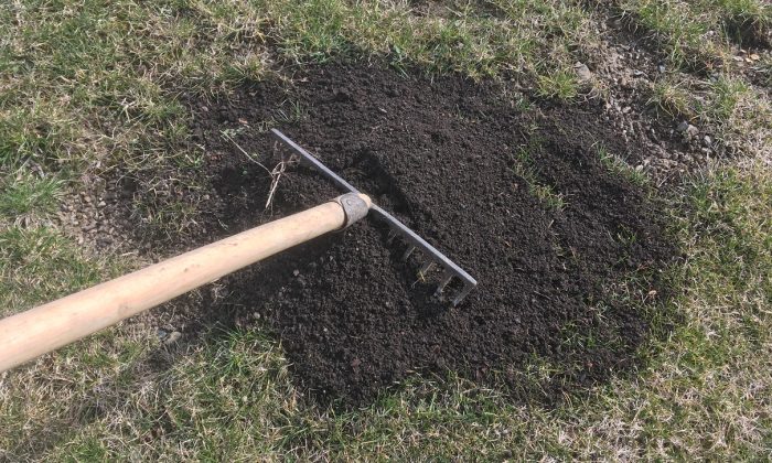 trávník, podzimní hnojení, fosfor P, draslík K, příprava na zimu