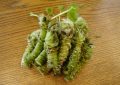 Wasabi
