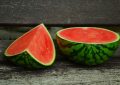 Vodní meloun