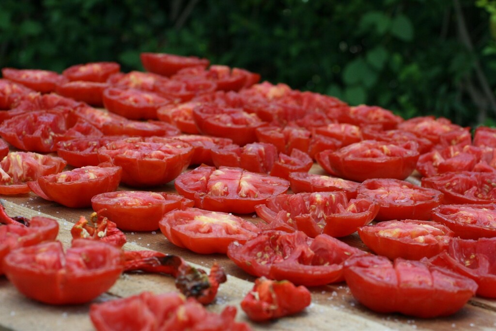 Sušení rajčat