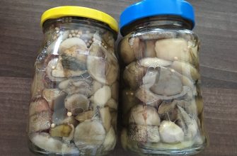 Zavařené houby
