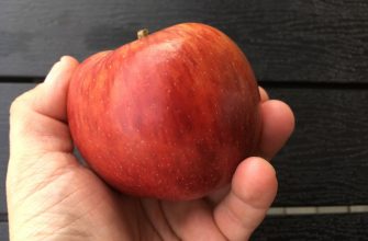 Jablka Braeburn