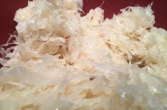 Kysané zelí zelí, kysání, kysané zelí, jídlo, potraviny