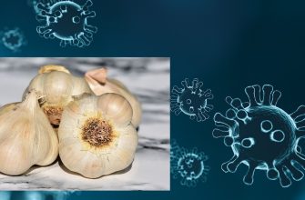 Koronavirus a česnek