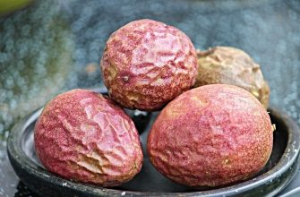 Maracuja