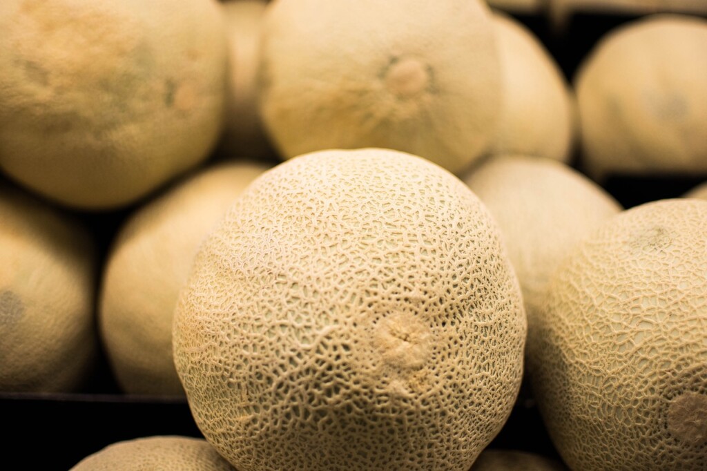 Meloun Cantaloupe