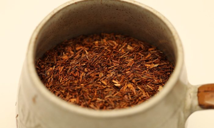 Rooibos