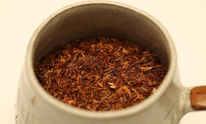 Rooibos