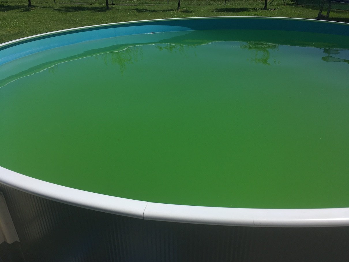 Jak se zbavit zelené vody v bazénu bez chemie?