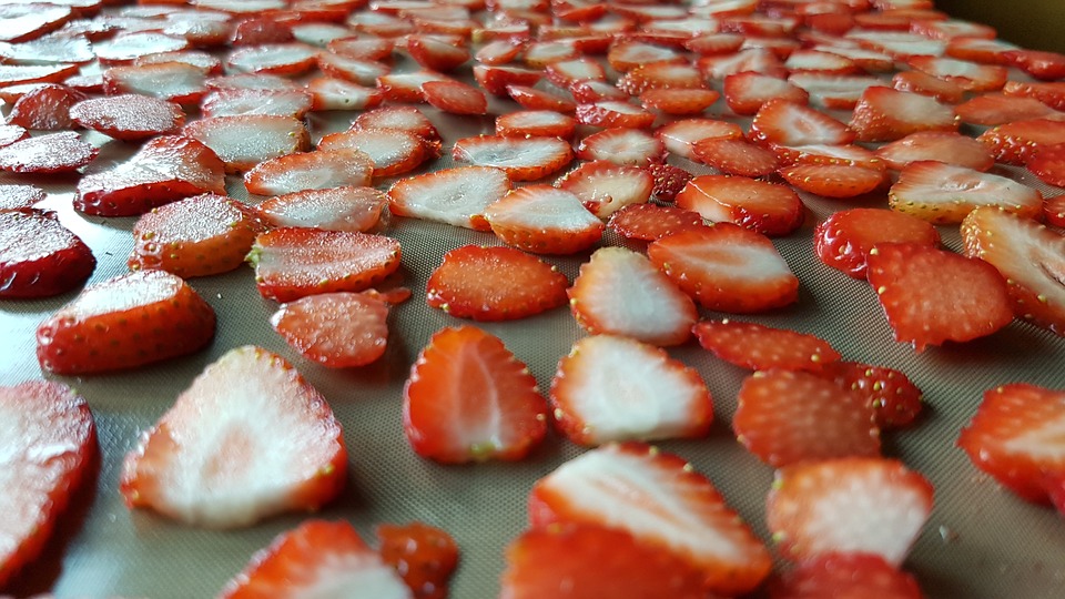 Jak sušit v sušičce jahody?
