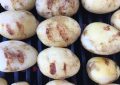 Grilované brambory