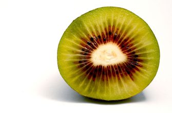 Červené kiwi