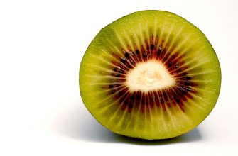 Červené kiwi