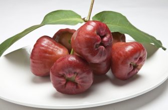 Rose apple