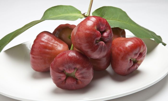 Rose apple