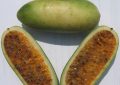 Kuruba