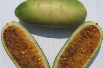 Kuruba
