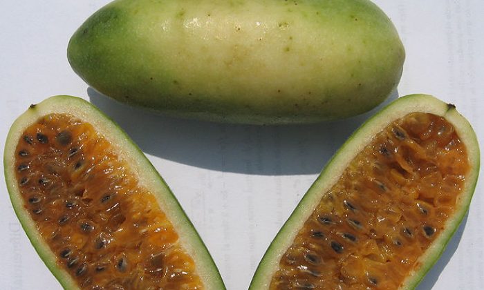 Kuruba