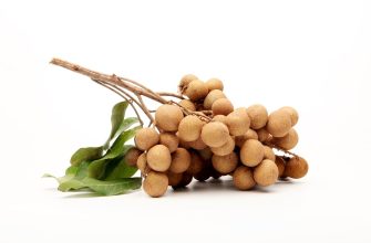 Longan