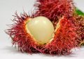 Rambutan