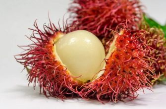 Rambutan