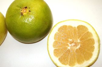 Pomelo