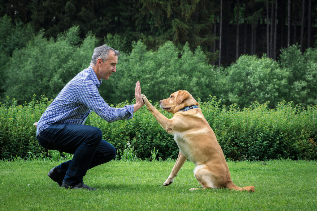 Jiří Švihálek a Roxy