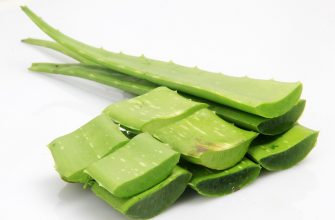 Aloe vera