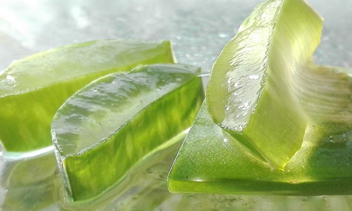 Aloe vera