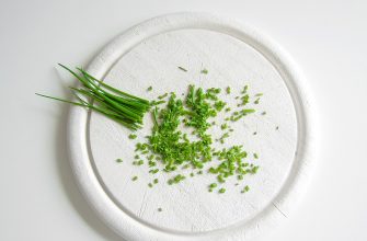 Pažitka