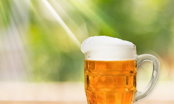 Pivo