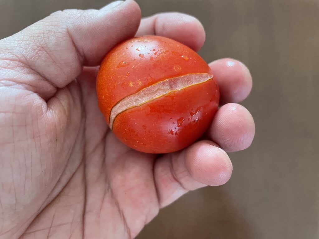 Prasklé rajče