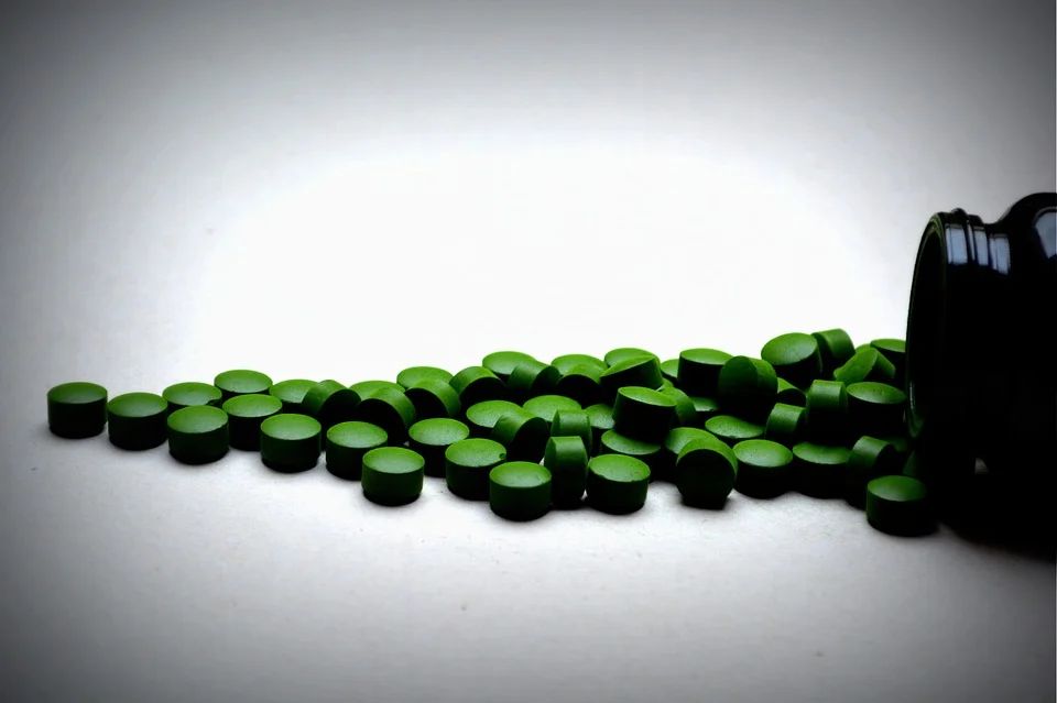 chlorella