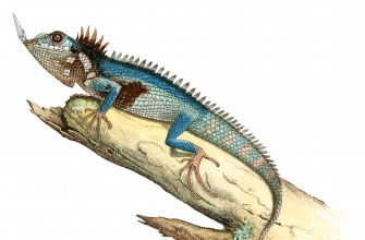 Harpesaurus
