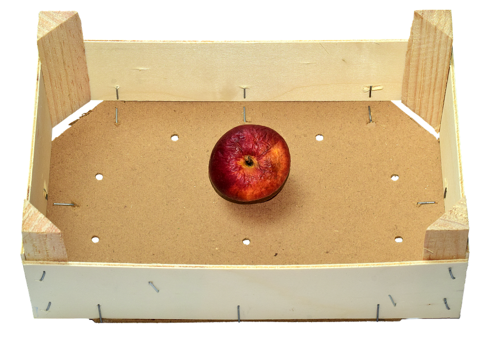Skladování jablek