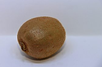Kiwi