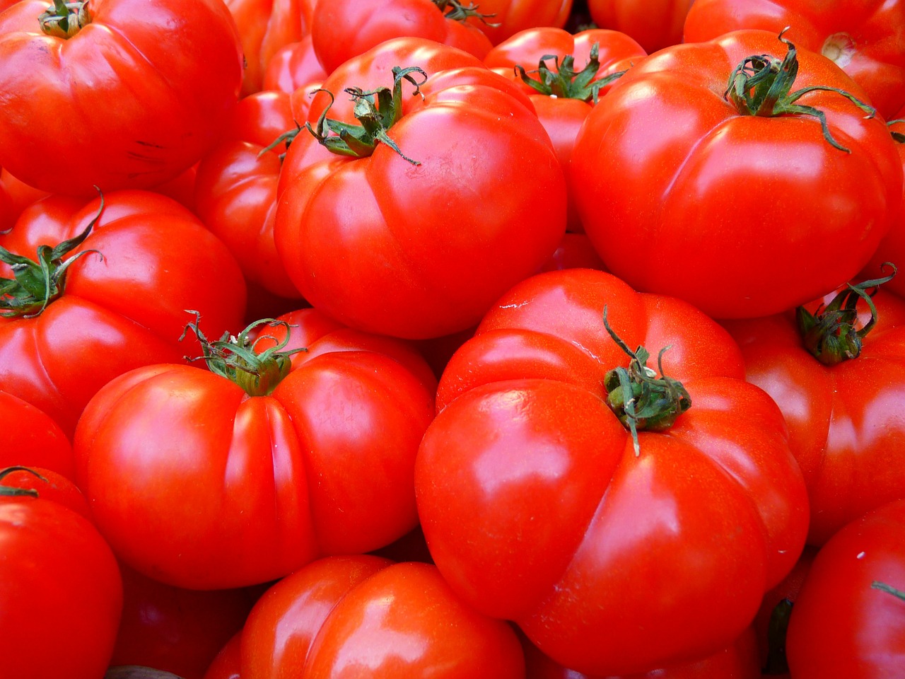 Masitá rajčata