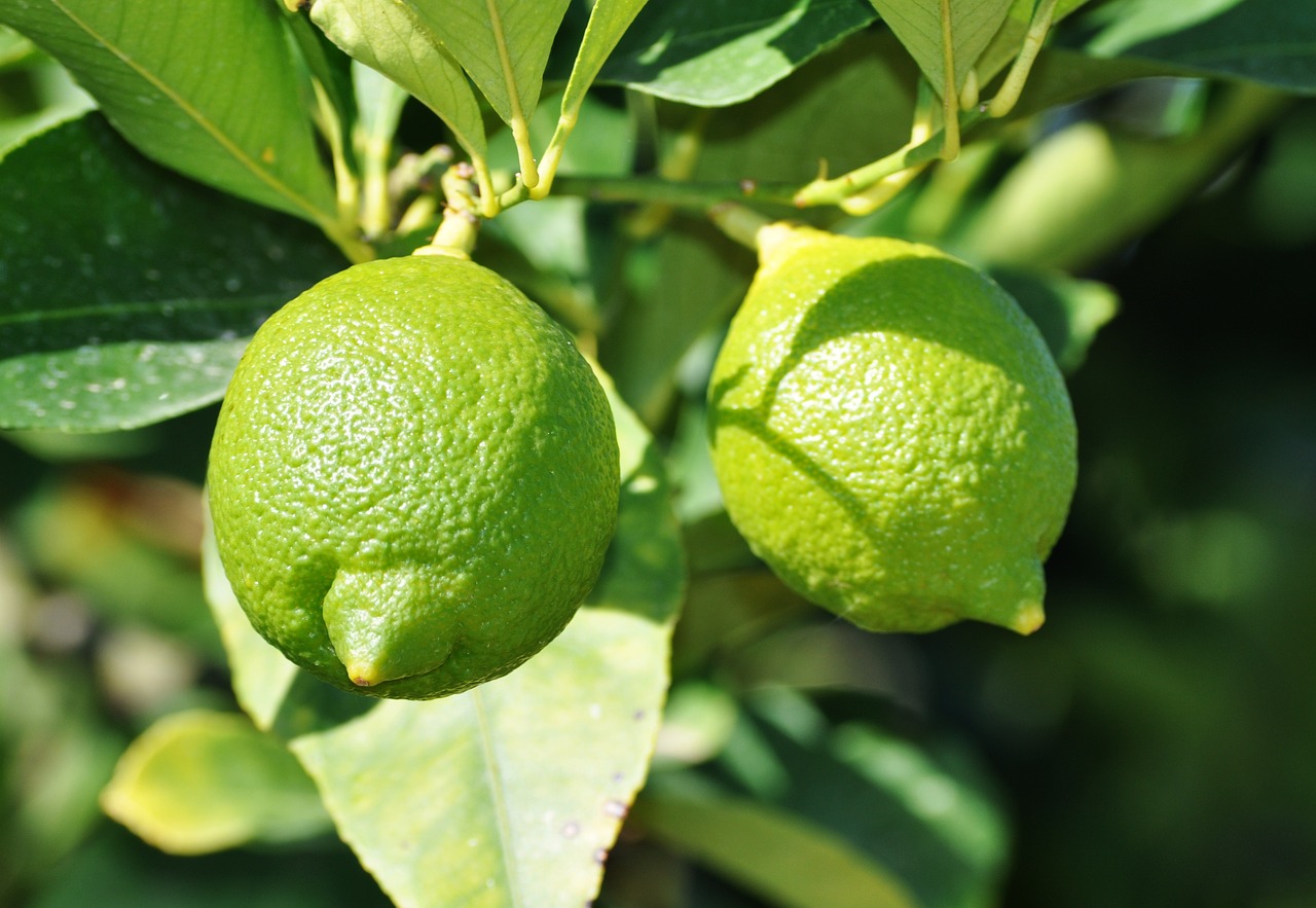 Zelené citrony