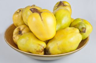 Kdoule