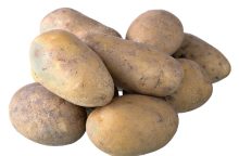 Brambory