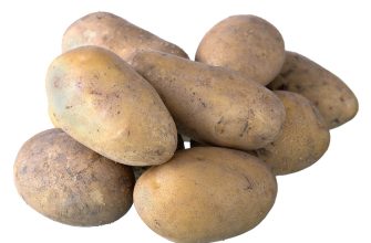 Brambory
