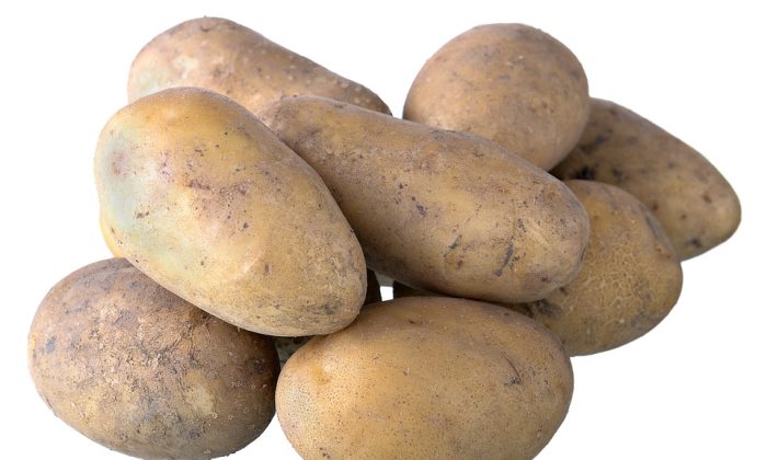 Brambory