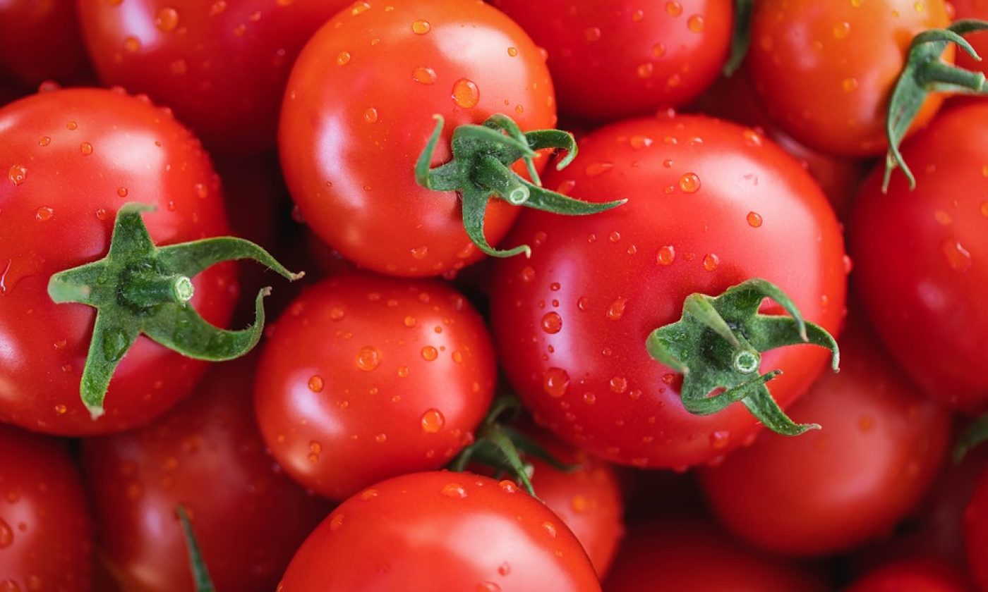 Jak poznat Zmrzle rajčata?