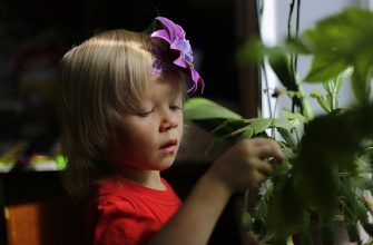 dítě rostliny
